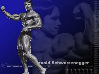 arnoldschwarzenegger.jpg